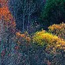 每一滴泉水 (17)