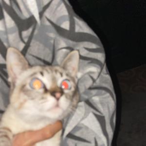 24K Luv（prod.Kai）