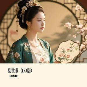 乱世书 (DJ版)