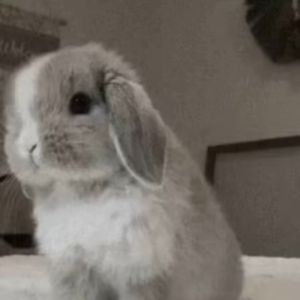 [FREE]"殆尽"钢琴旋律&弦乐 情绪类型伴奏