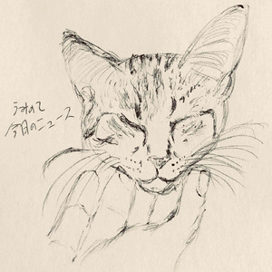 今日のニュース