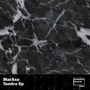 Tundra (Extended Version)