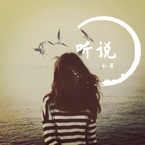 Ally Sereda-Blaow（小耳 remix）