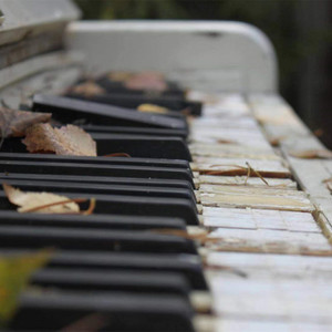 记忆旋律（For Ann）