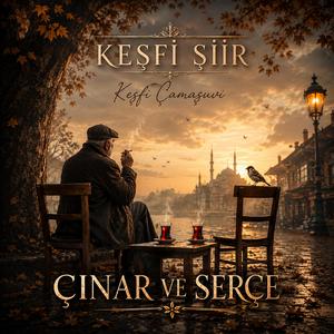 ÇINAR VE SERÇE