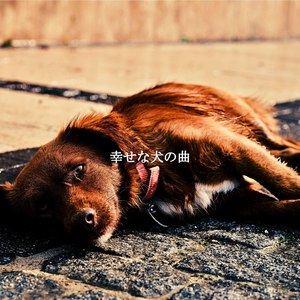 Sort (Unwinding Mode)