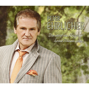 Du wirst im Regen keine Tränen sehn (Karaoke Version)