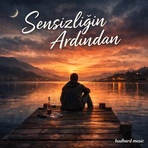 Sensizliğin Ardından