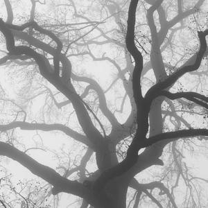 该怎么办（Prod.No Birthday）