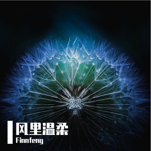 风里温柔