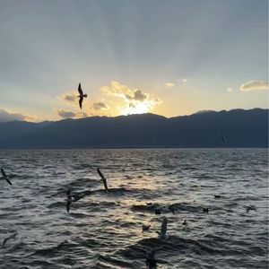 谢谢你陪我的那些天