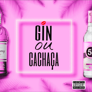 GIN OU CACHAÇA