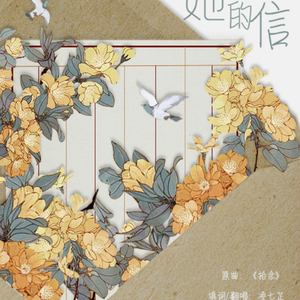 寄给她的信（Cover 不才）