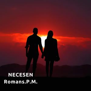 NECESEN (II)