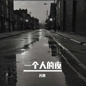 一个人的夜