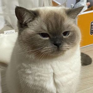 未知-南山南～阿雅！！！_20221006_070929