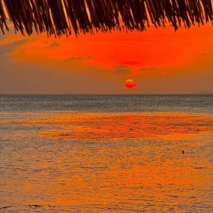 一切都已经改变