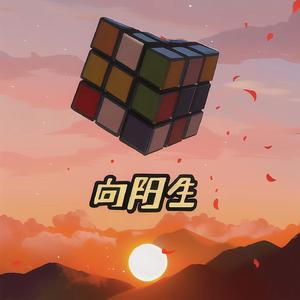 向阳生