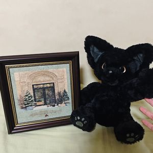 晚婚（Cover谭维维）