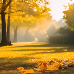 八月你好（一切如愿）