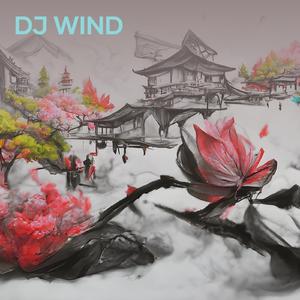 Dj Wind