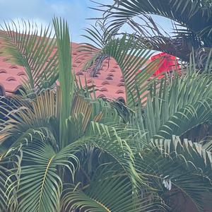 The Sky Isnt Blue But Lets Imagine It Is