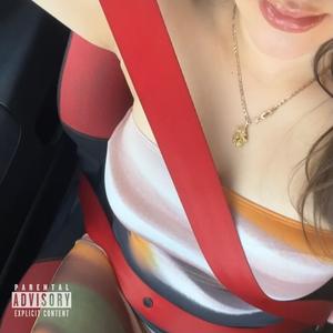 passengerseat