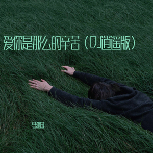 爱你是那么的辛苦 (DJ版)