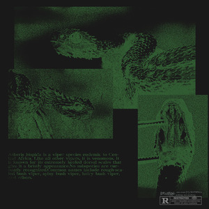 Atheris
