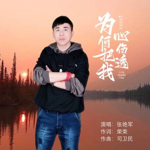 为何把我心伤透