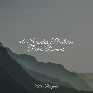 Anochecer En La Distancia