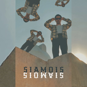 Siamois