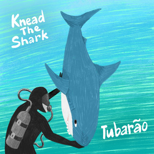 Tubarão
