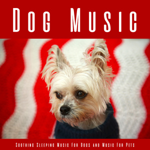 Dog Music