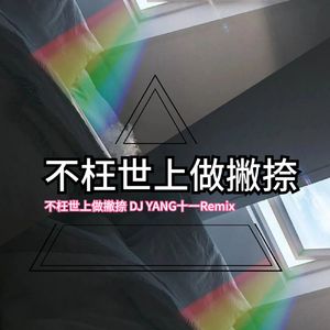 不枉世上做撇捺Dj赵本山 YANG十一 remix