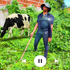 OI SUMIDA TRAPISEIRO