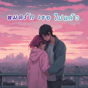 หมดรักเธอไปแล้ว