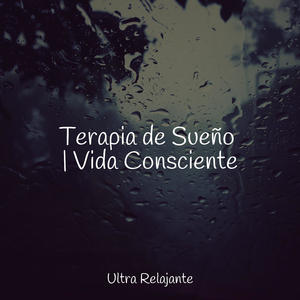 Acurrucado En La Cama