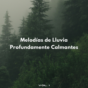 Ruido De Lluvia Relajante