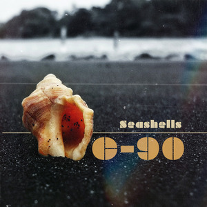 Seashells