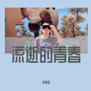 流逝的青春（翻自 马越敏）