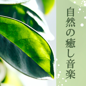 自然の音でリラックス