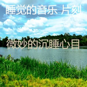 一尘不染做梦印象数