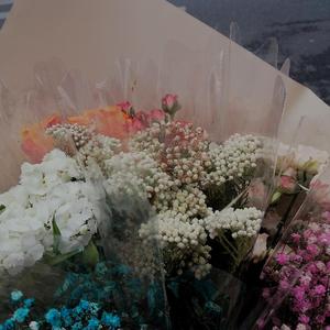 我走后（翻唱）（翻自 梦笙）