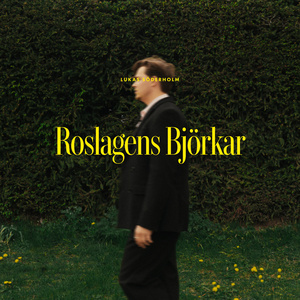 Roslagens Björkar