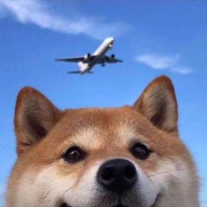 多想在平庸的生活拥抱你