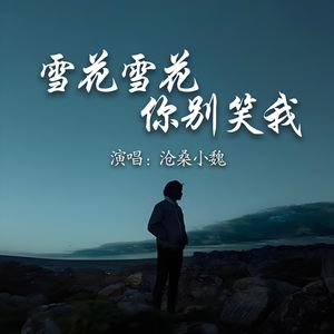 雪花雪花你别笑我