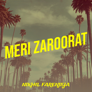 Meri Zaroorat
