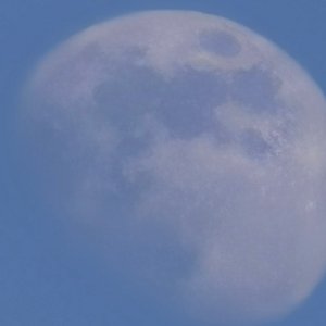 恋人（cover：酥酥大魔王）