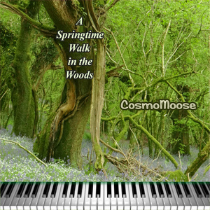 A Springtime Walk in the Woods